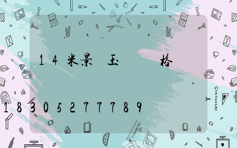 14米景觀玉蘭燈價格