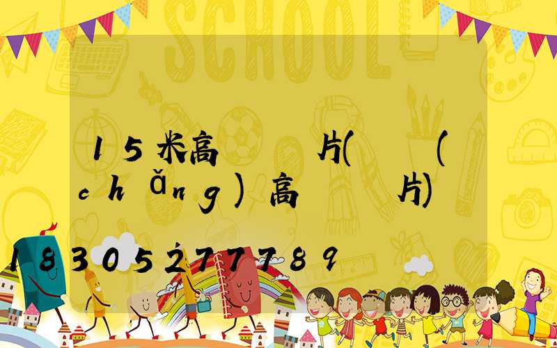 15米高桿燈圖片(廣場(chǎng)高桿燈圖片)