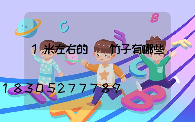 1米左右的觀賞竹子有哪些