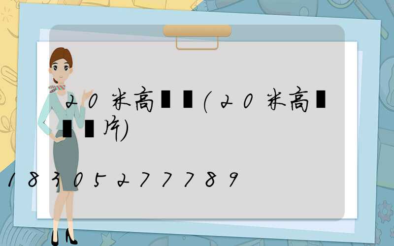 20米高桿燈(20米高桿燈圖片)