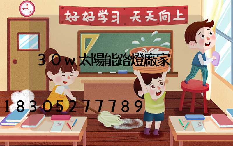 30w太陽能路燈廠家