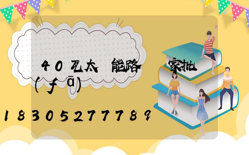 40瓦太陽能路燈廠家批發(fā)