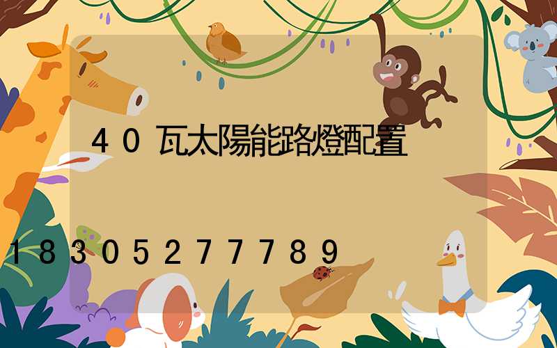 40瓦太陽能路燈配置