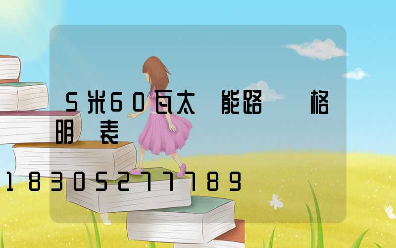 5米60瓦太陽能路燈價格明細表