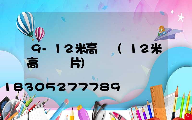9-12米高桿燈(12米高桿燈圖片)