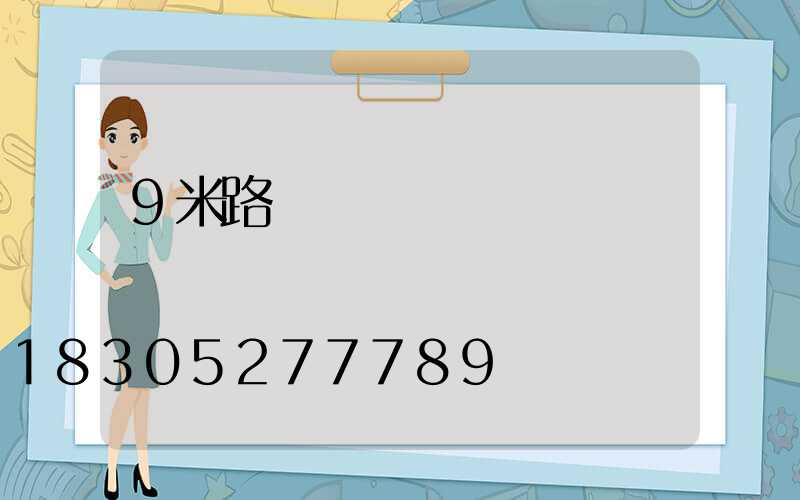 9米路燈燈桿報價