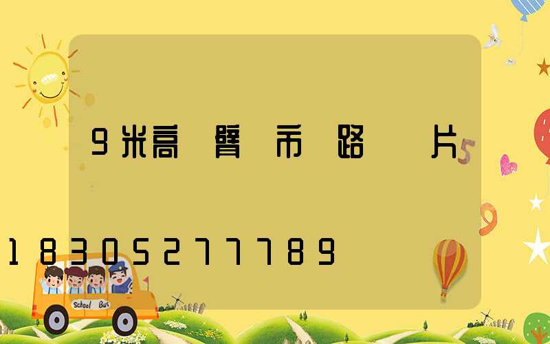 9米高單臂桿市電路燈圖片