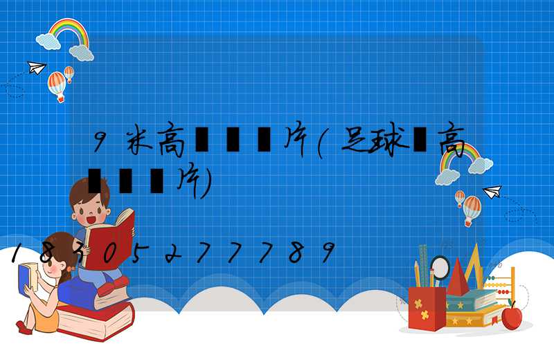 9米高桿燈圖片(足球場高桿燈圖片)