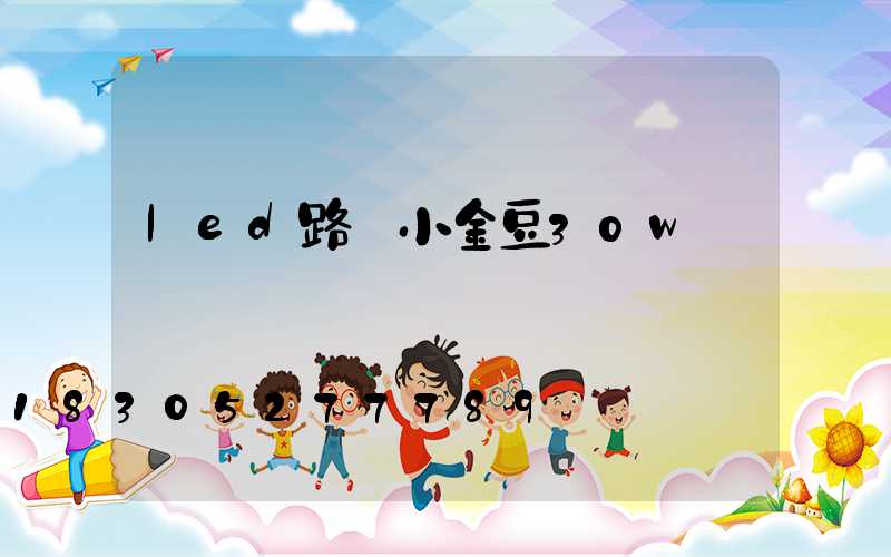 led路燈小金豆30w