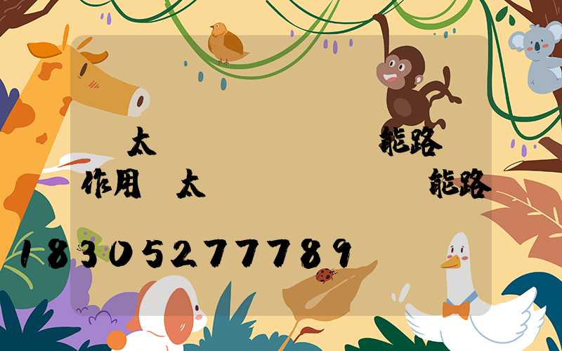 「太陽(yáng)能路燈作用」太陽(yáng)能路燈對(duì)農(nóng)村建設(shè)有什么作用-