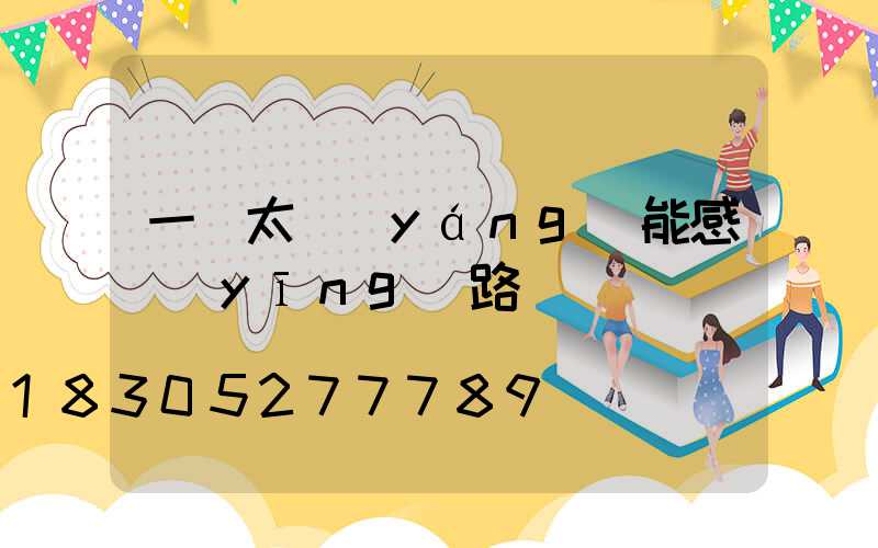 一體太陽(yáng)能感應(yīng)路燈