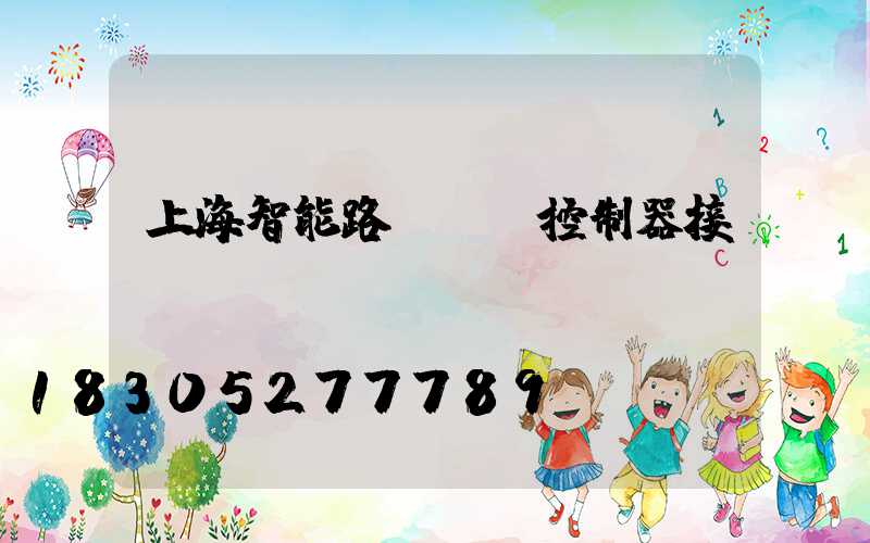 上海智能路燈單燈控制器接線