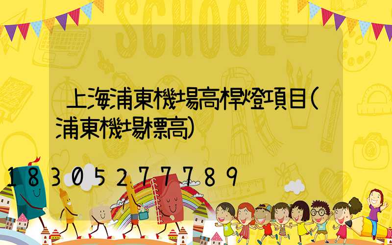上海浦東機場高桿燈項目(浦東機場標高)