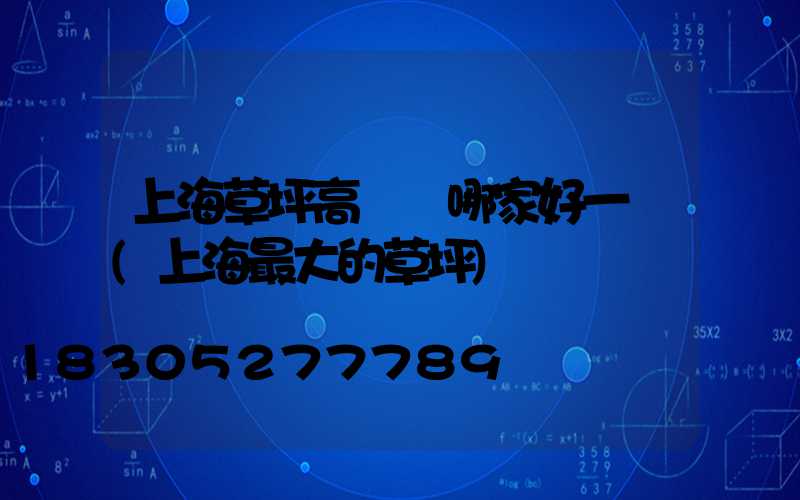 上海草坪高桿燈哪家好一點(上海最大的草坪)