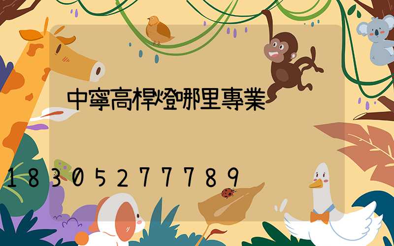 中寧高桿燈哪里專業