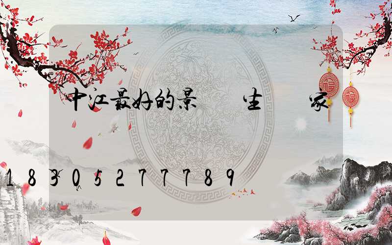 中江最好的景觀燈生產廠家