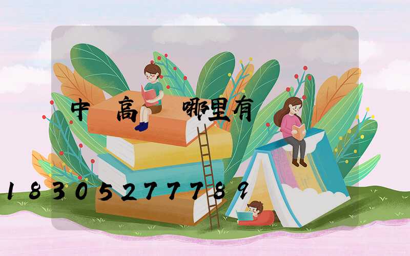 中衛高桿燈哪里有