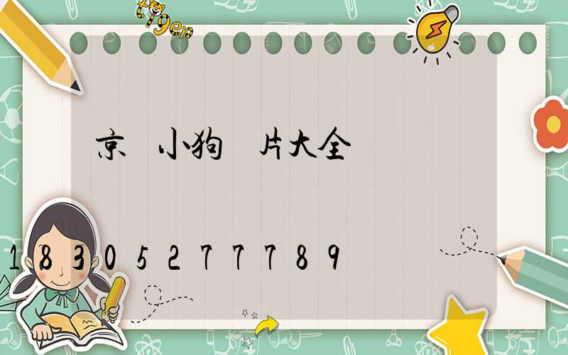 京東小狗圖片大全