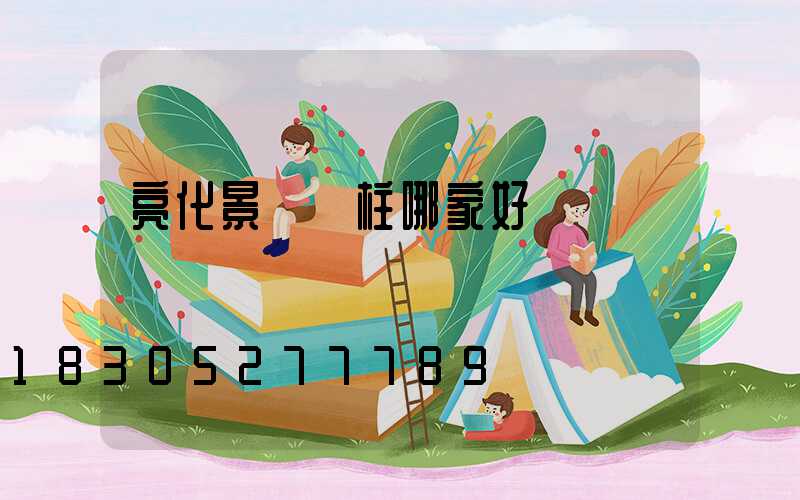 亮化景觀燈柱哪家好