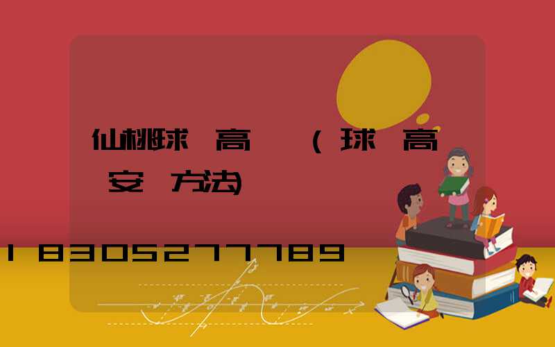 仙桃球場高桿燈(球場高桿燈安裝方法)