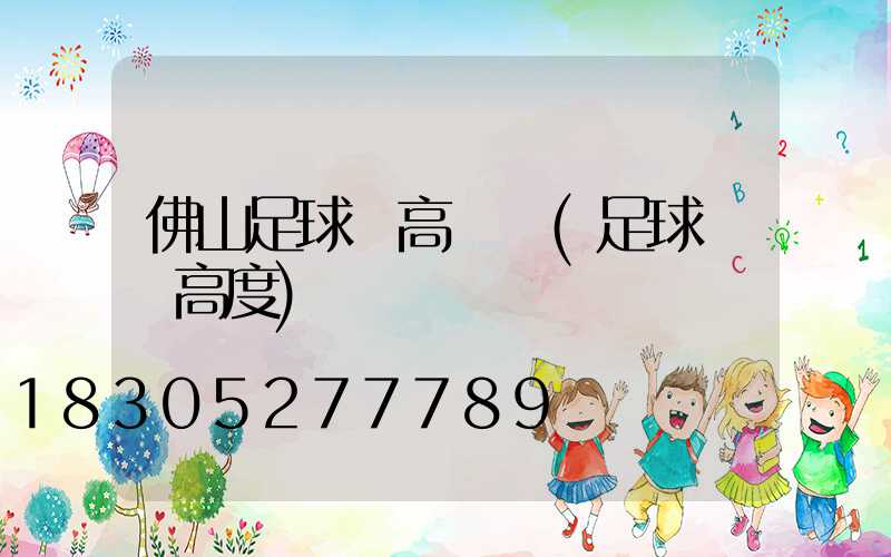 佛山足球場高桿燈(足球場燈高度)