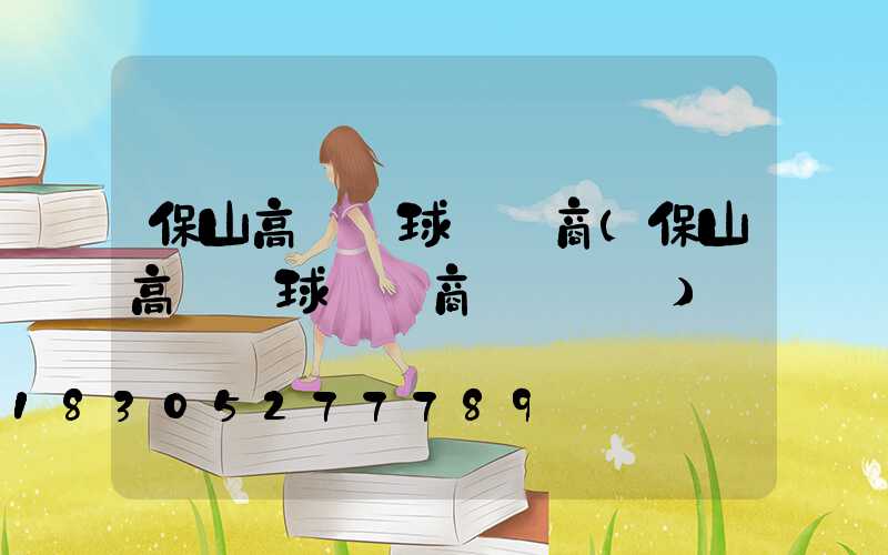 保山高桿燈球場廠商(保山高桿燈球場廠商電話號碼)