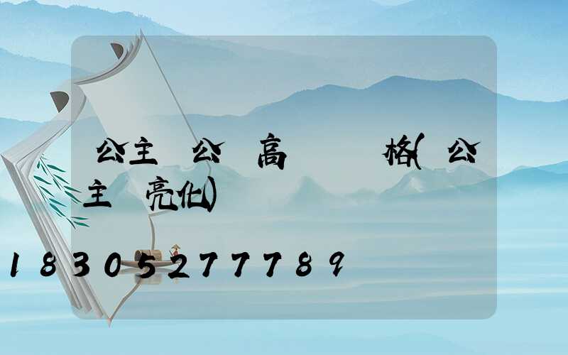 公主嶺公園高桿燈價格(公主嶺亮化)