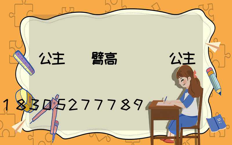 公主嶺單臂高桿燈廠(公主嶺燈會)