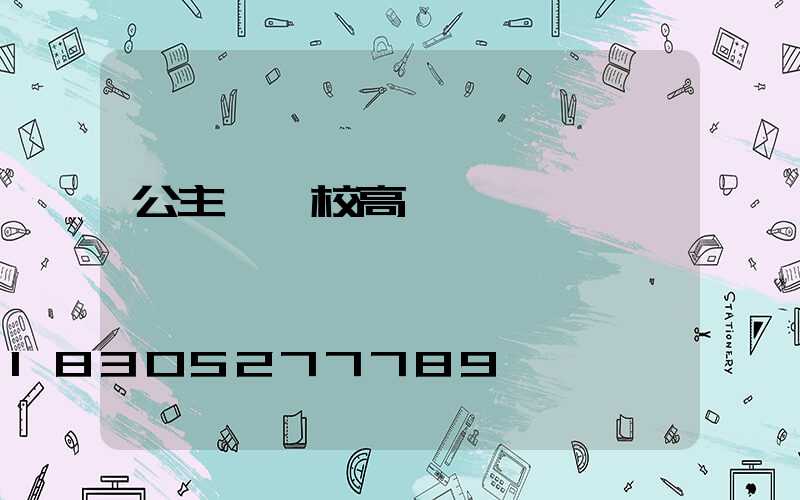 公主嶺學校高桿燈廠