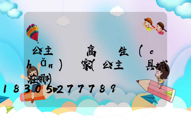公主嶺廣場高桿燈生產(chǎn)廠家(公主嶺燈具城在哪)