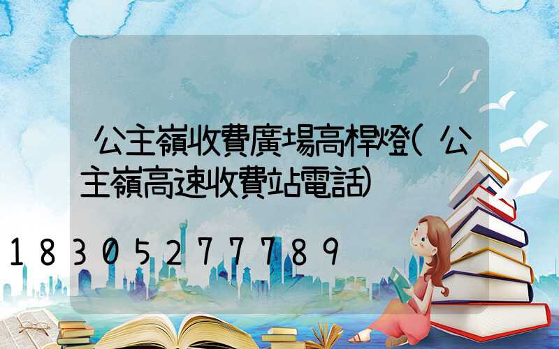 公主嶺收費廣場高桿燈(公主嶺高速收費站電話)