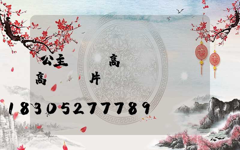 公主嶺雙頭高桿燈廠(雙頭高桿燈圖片)