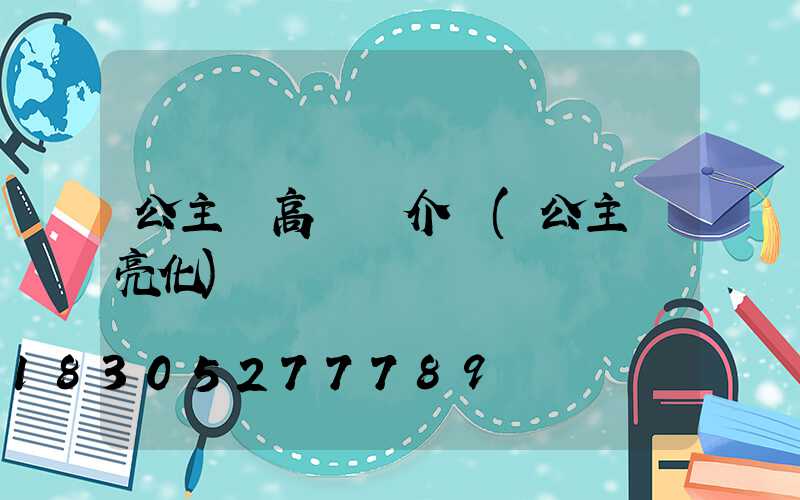 公主嶺高桿燈介紹(公主嶺亮化)