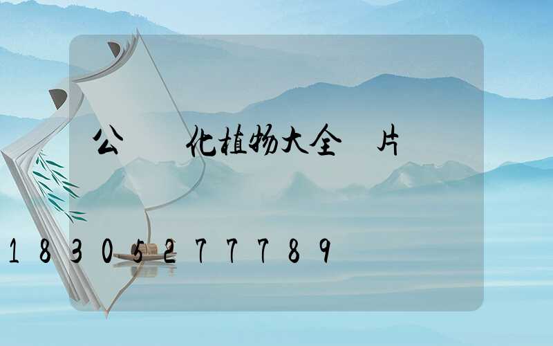 公園綠化植物大全圖片