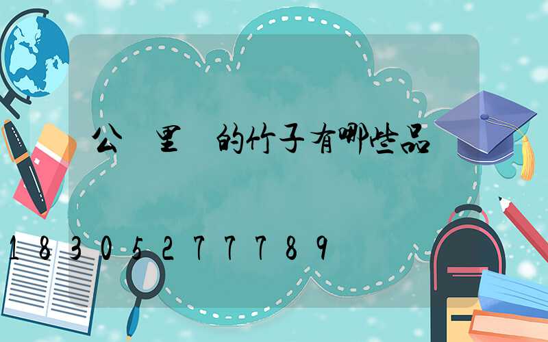 公園里種的竹子有哪些品種