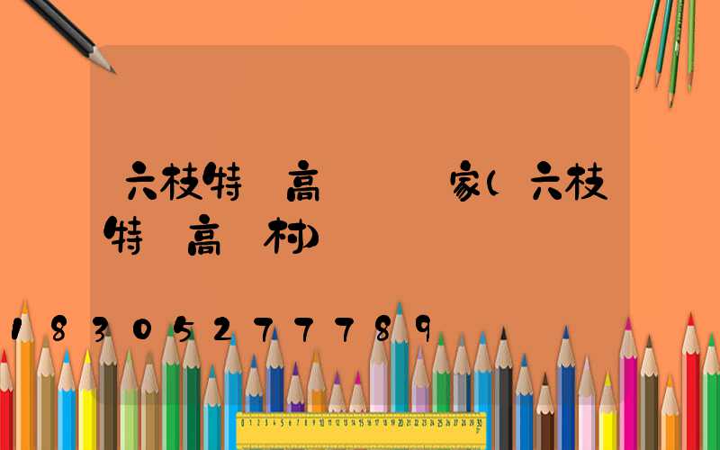 六枝特區高桿燈廠家(六枝特區高興村)