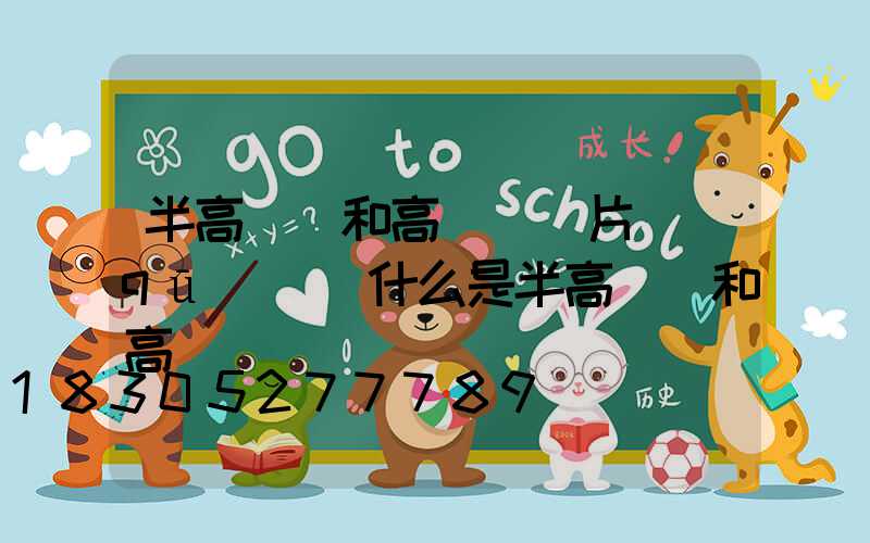 半高桿燈和高桿燈圖片區(qū)別(什么是半高桿燈和高桿燈)