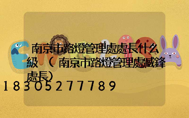 南京市路燈管理處處長什么級別(南京市路燈管理處臧鋒處長)