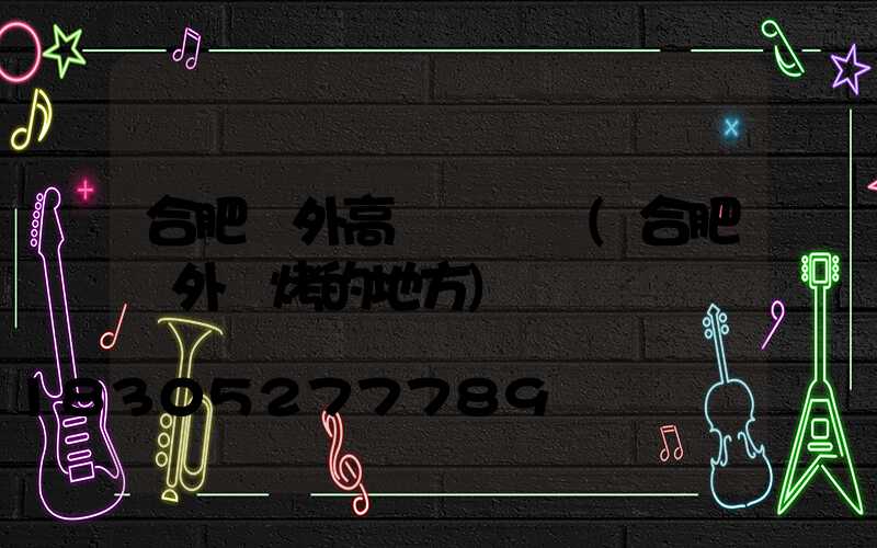 合肥戶外高桿燈報價(合肥戶外燒烤的地方)