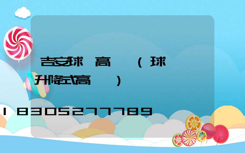 吉安球場高桿燈(球場電動升降式高桿燈)