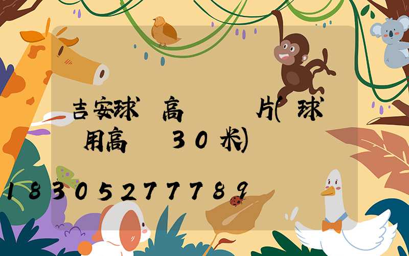 吉安球場高桿燈圖片(球場專用高桿燈30米)