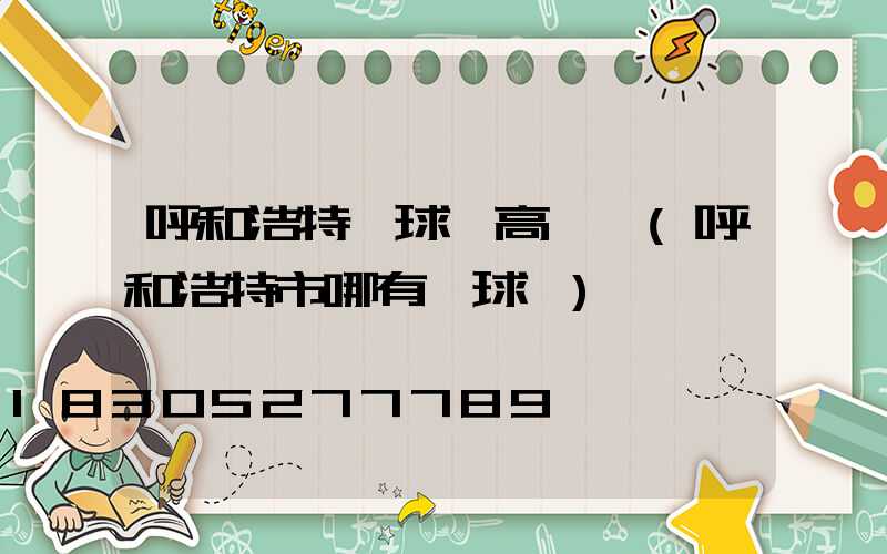 呼和浩特網球場高桿燈(呼和浩特市哪有網球館)