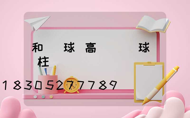 和龍網球場高桿燈(網球場燈柱)