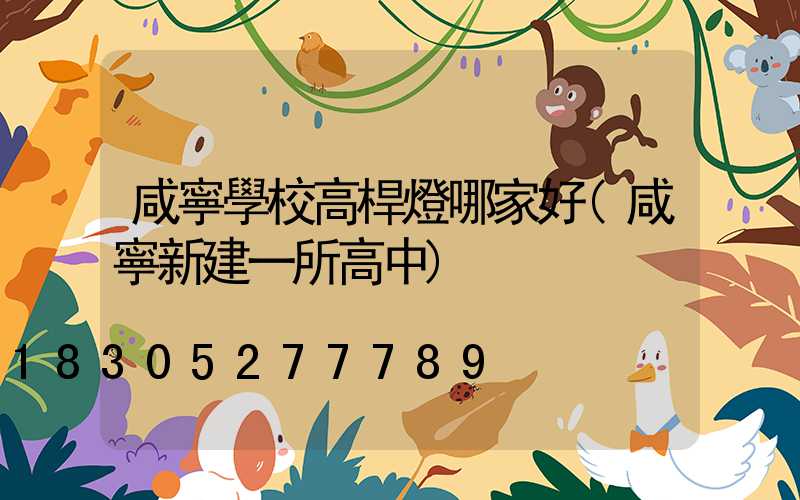 咸寧學校高桿燈哪家好(咸寧新建一所高中)