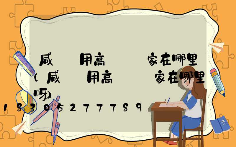 咸陽實用高桿燈廠家在哪里(咸陽實用高桿燈廠家在哪里呀)