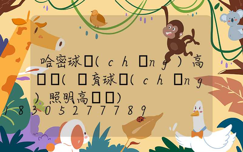 哈密球場(chǎng)高桿燈(體育球場(chǎng)照明高桿燈)