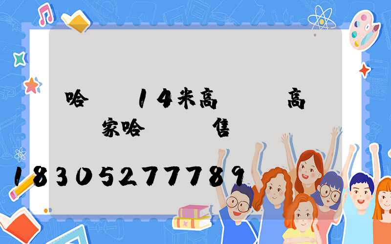 哈爾濱14米高桿燈(高桿燈廠家哈爾濱銷售)