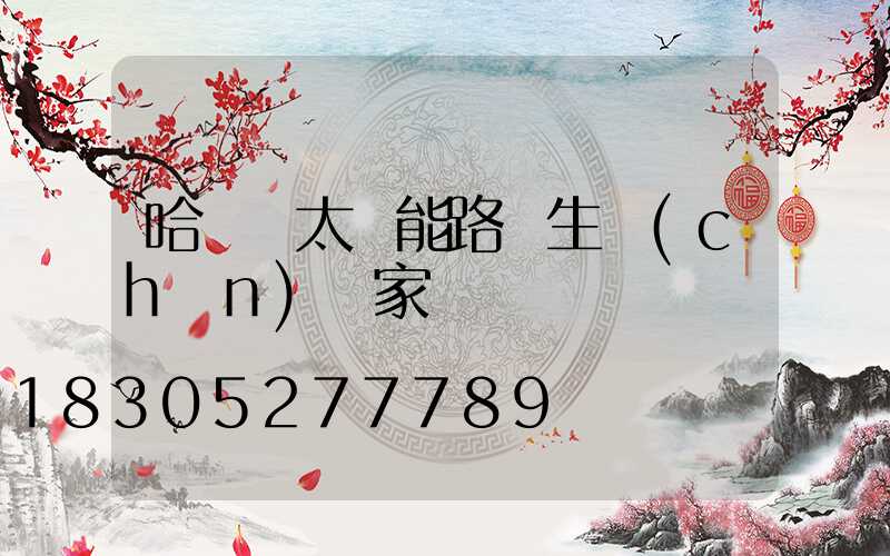 哈爾濱太陽能路燈生產(chǎn)廠家