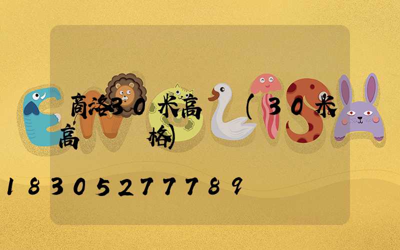 商洛30米高桿燈(30米高桿燈價格)