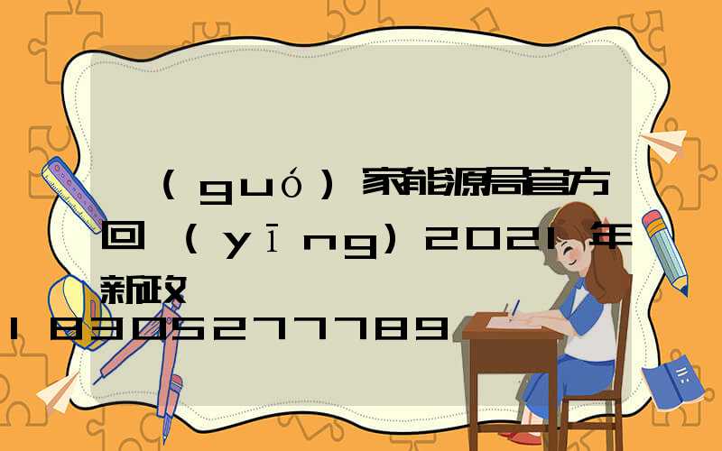 國(guó)家能源局官方回應(yīng)2021年新政